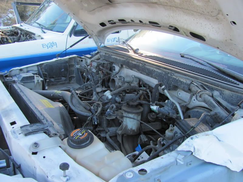 1997 F150 5.4 and 1999 F250 5.4 Ford Truck Enthusiasts Forums